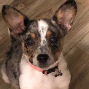 Meet your Posher, Emily